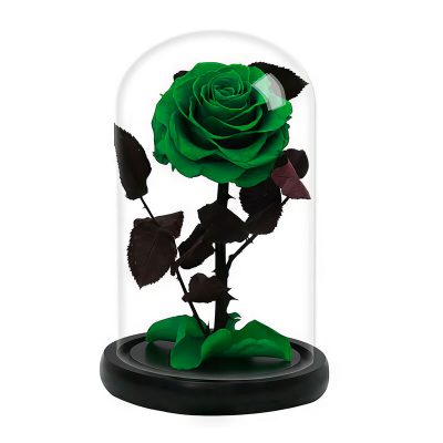 Роза в колбе зеленая